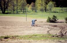 Gray's Excavating